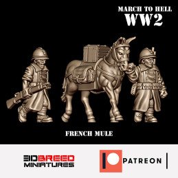 Equipo de mulas francés