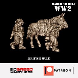 Equipo de mulas británico