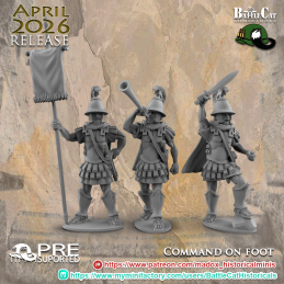 Grupo de mando a pie de las...