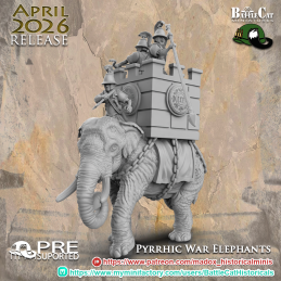 Elefante de guerra pírrico I
