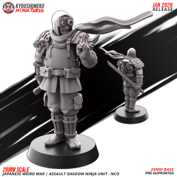 Suboficial Ninja de Asalto...