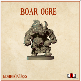Equipo de enanos infernales y hobgoblins. Fantasy Football
