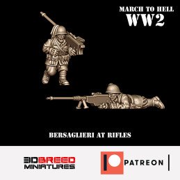 Bersaglieri AT Rifle Team