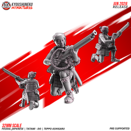 Arcabuceros Ashigaru Tatami-dō. Nipón
