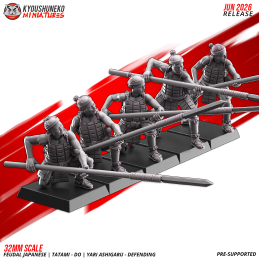 Ashigaru Tatami-dō con yari en defensa. Nipón