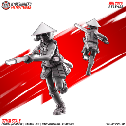 Ashigaru Tatami-dō con yari en carga. Nipón