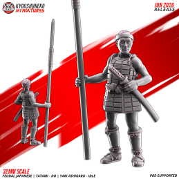 Ashigaru Tatami-dō con yari en reposo. Nipón