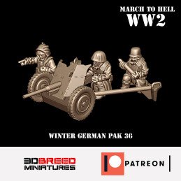 Winter German PaK 36 Anti-Tank Gun