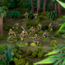 Pelotón de infantería japonés Army