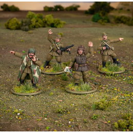 Hungarian Army Platoon Commanders