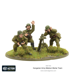 Hungarian Army Support Group (HQ, Mortar & MMG)
