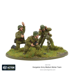 Hungarian Army Support Group (HQ, Mortar & MMG)