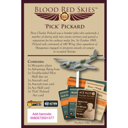 Blood Red Skies: British Ace Pilot - 'Pick' Pickard