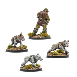 Konflikt '47: British Commonwealth Cerberus Squad 1 (2025 Reformat)