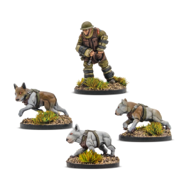 Konflikt '47: British Commonwealth Cerberus Squad 1 (2025 Reformat)