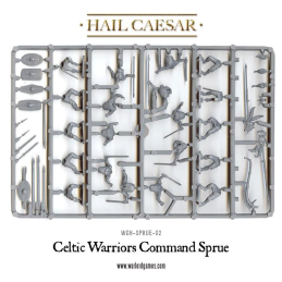 Celtic Warriors