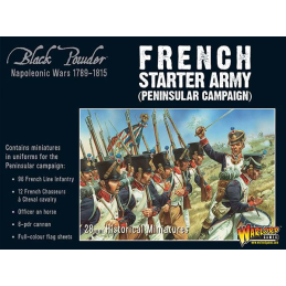 Napoleonic French Starter Army (Peninsular campaign)
