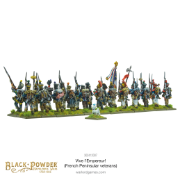 Vive l'Empereur! French Peninsular Veterans