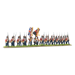 Crimean War British Line infantry