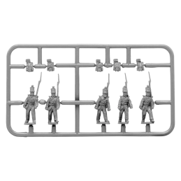 Crimean War British Line infantry