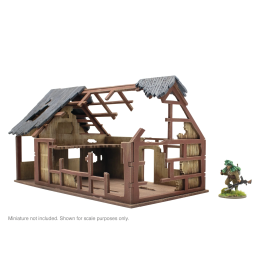 Asian Villages - Large Building Ruins