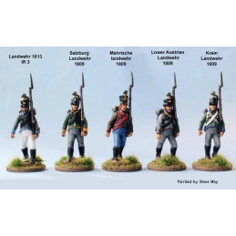 Napoleonic Austrian Infantry