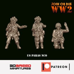 JoD Suboficiales paracaidistas US