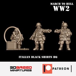 Grupo de mando de los Camisas Negras italianos (manga larga)