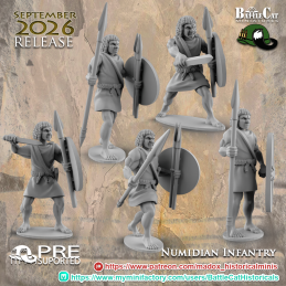 Numidian Infantry with Swords