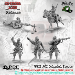 AOI Colonial Riflemen Squad