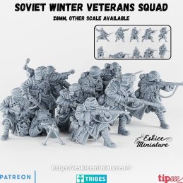 Soviet Winter Veterans Squad by Eskice Miniatures | 1/56 (28mm)