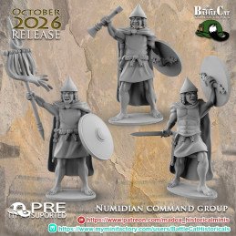 Numidian Infantry Command Group by Battle Cat | 28 mm