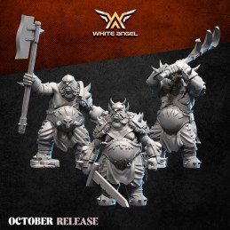 Ogros pesados de White Angel | Miniaturas impresas en 3D 32mm, 28mm