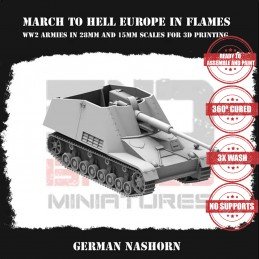 Nashorn