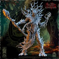 Evregreen Elves